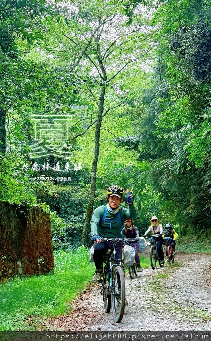 【大霸群峰4百岳。兩天一夜】觀霧大鹿林道東線騎越野單車/馬達