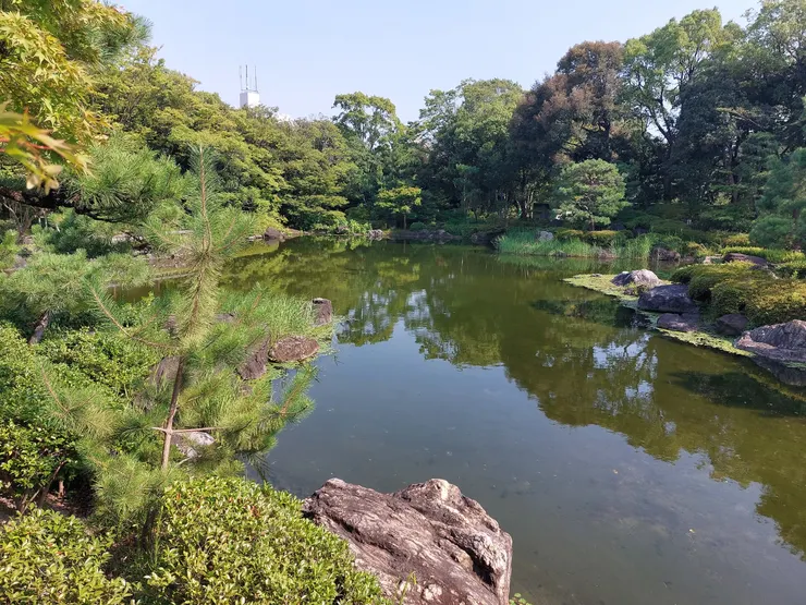 左邊池塘的樣貌~