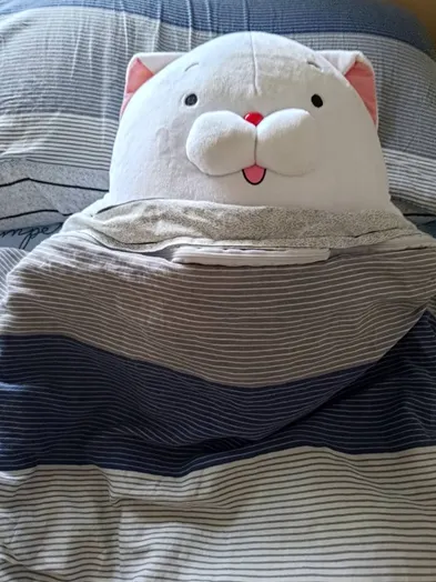 謝謝陪了我七年的床墊和枕頭，掰掰~