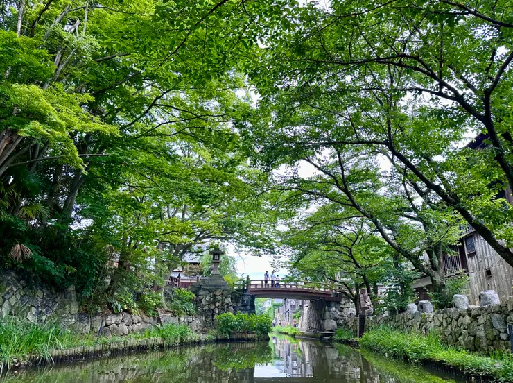 再來一張小橋流水照，頗有神隱少女那座橋的fu。