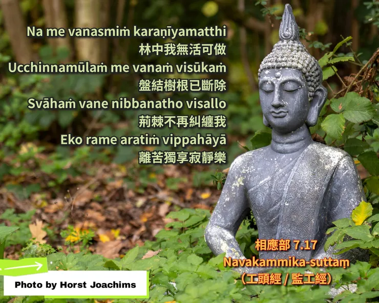 佛陀法語  |  關於快樂