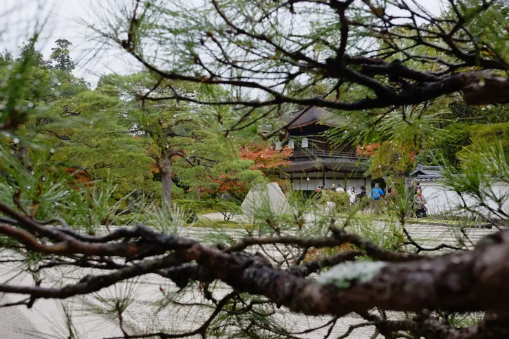 攝於京都銀閣寺。紛雜心緒枝節蔓生，往內探索卻有銀沙灘、向月台。