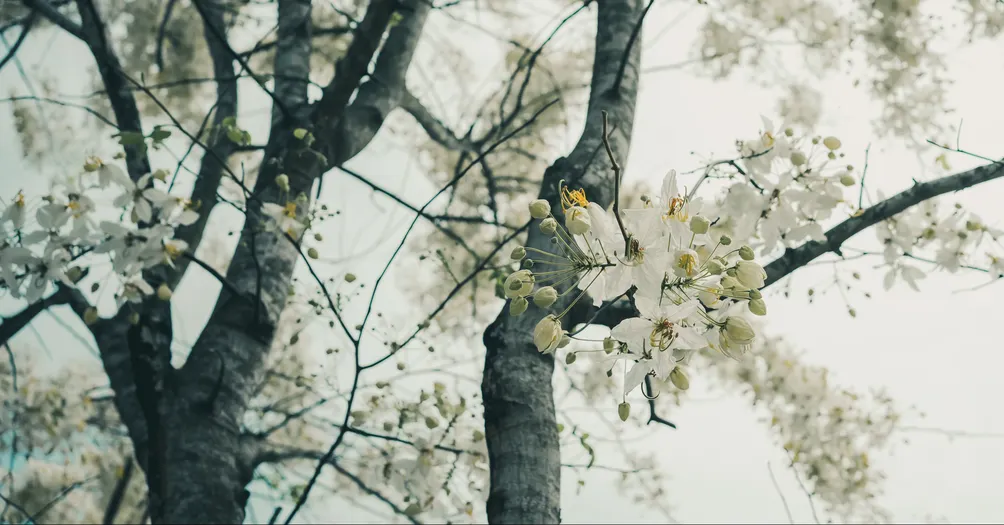 Wen-J 的小宇宙
