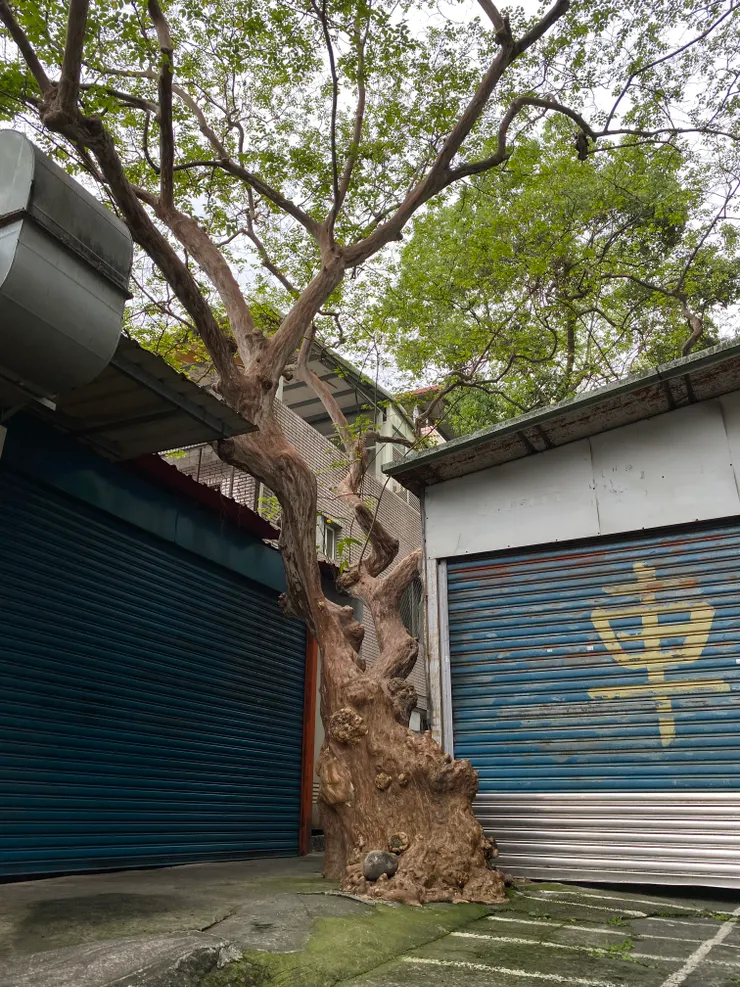 中正路、炎明新村後巷口的九穹。底下是大坪林圳西幹線二十張東支線