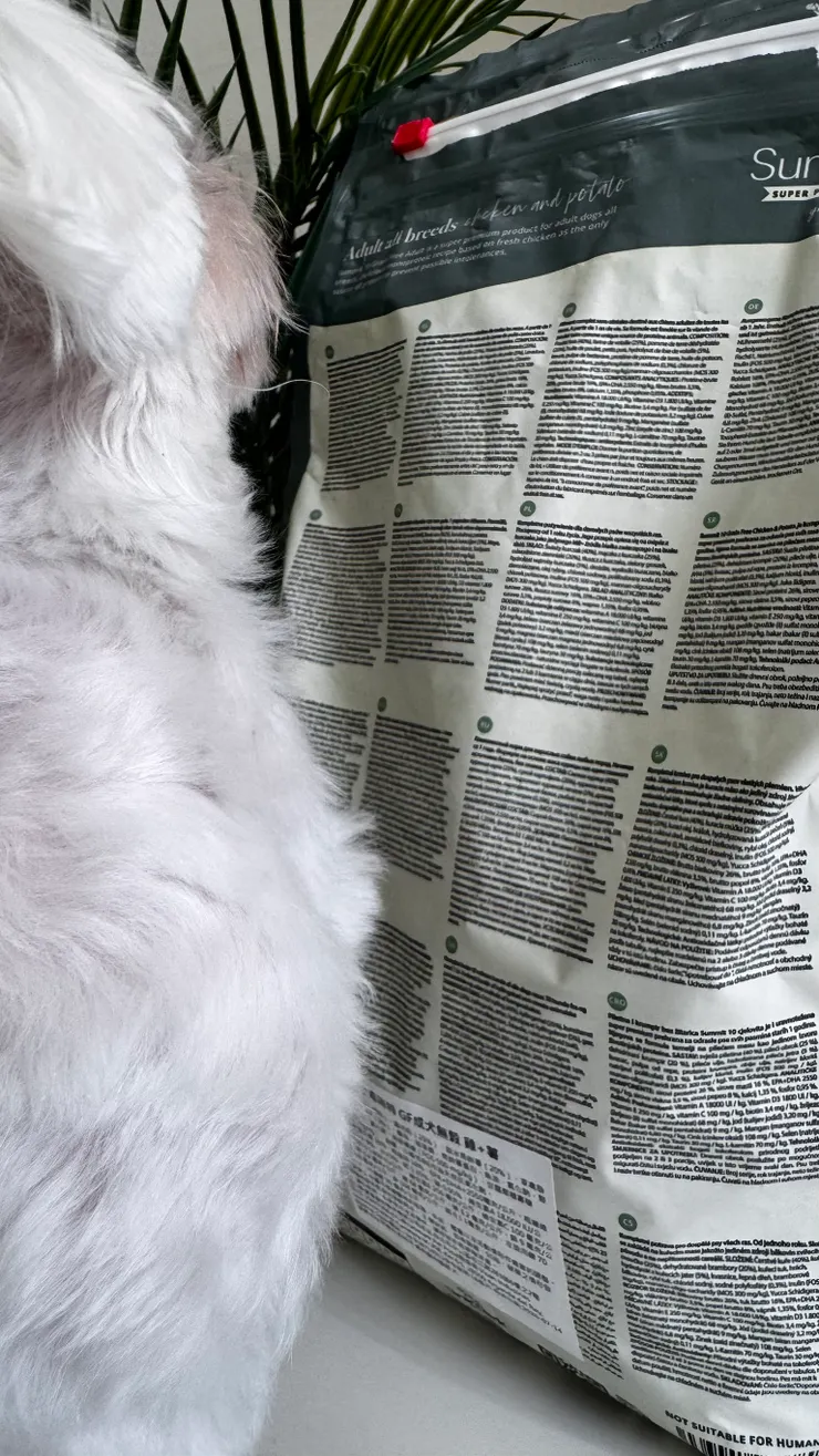 今天要吃什麼？