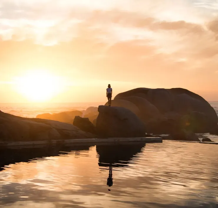 Photo by Finding Dan on Unsplash