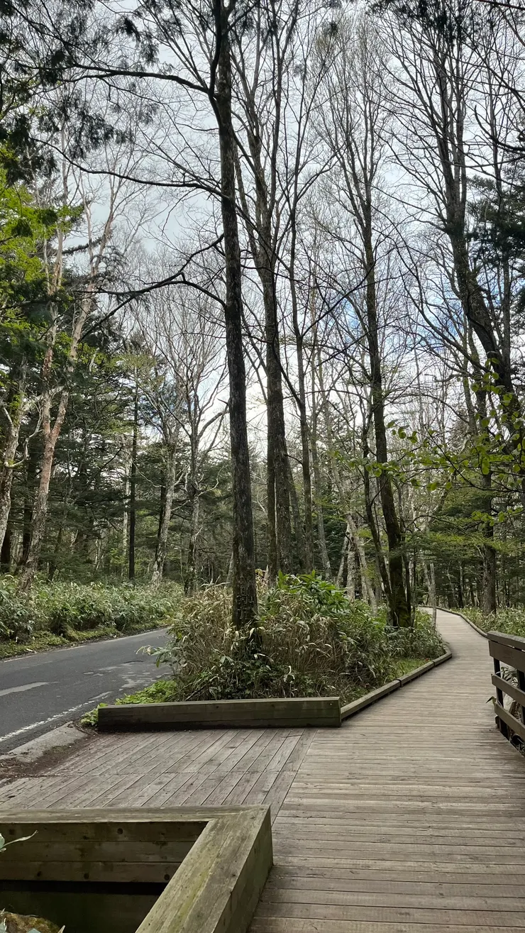 先沿著馬路旁的步道前進。