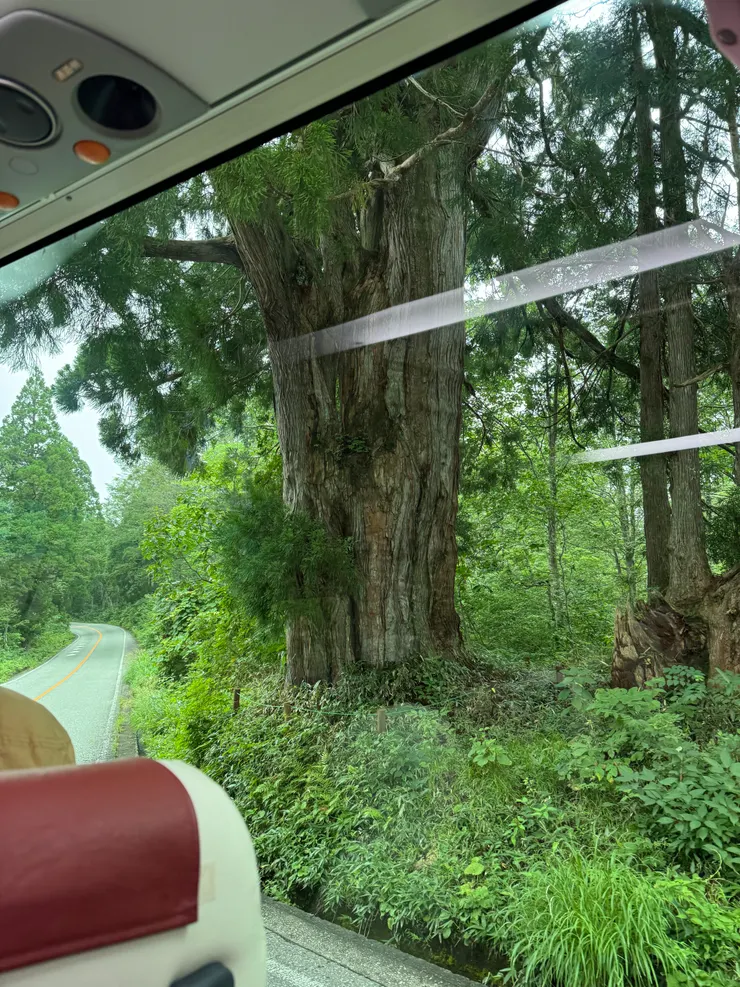 這一程看得到神木，但到了瀑布就又是大霧。司機到了瀑布前停下車，介紹完景點後說「但現在甚麼都看不到就是了，那就開車囉」。笑。