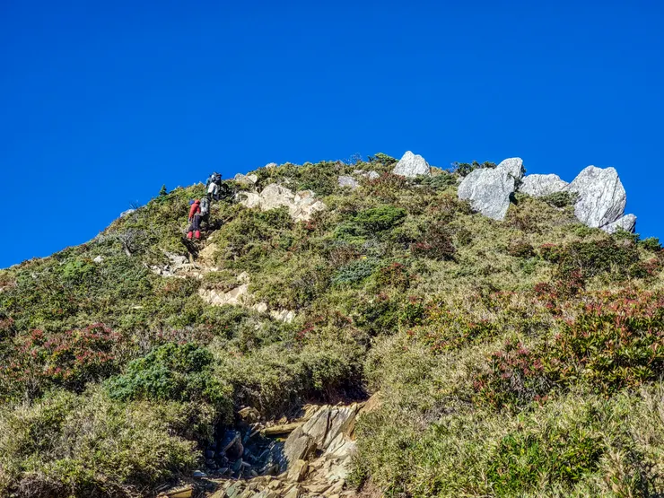 夭壽～～有夠陡dear~