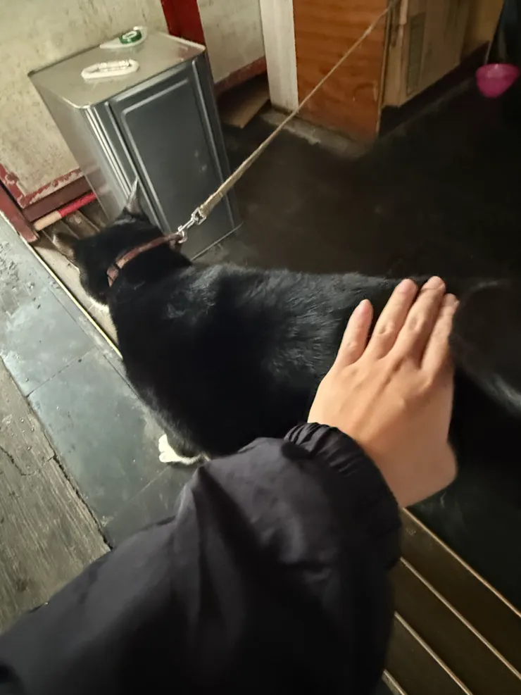 2026/02/02 拍拍屁股