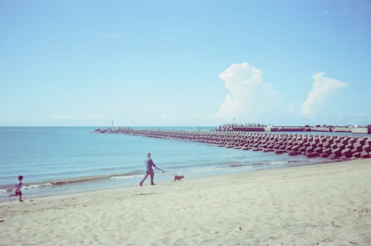 這是三芝的海岸