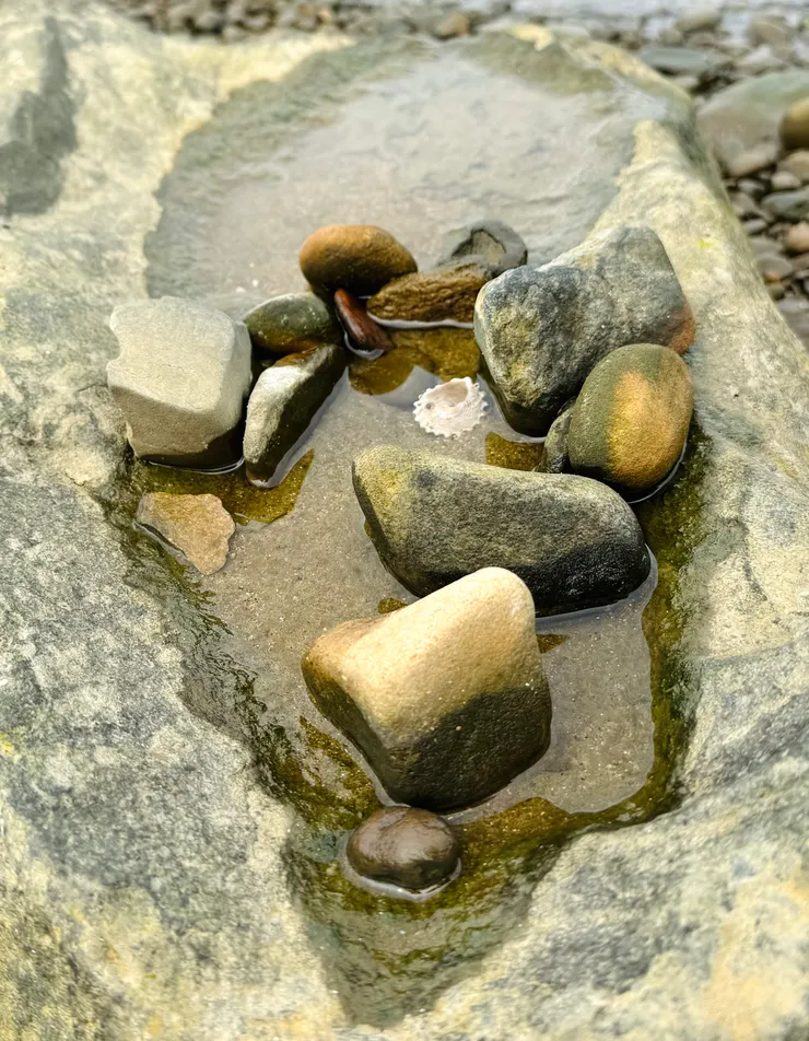 天然的「裝置藝術品」，宛若一個小小世界