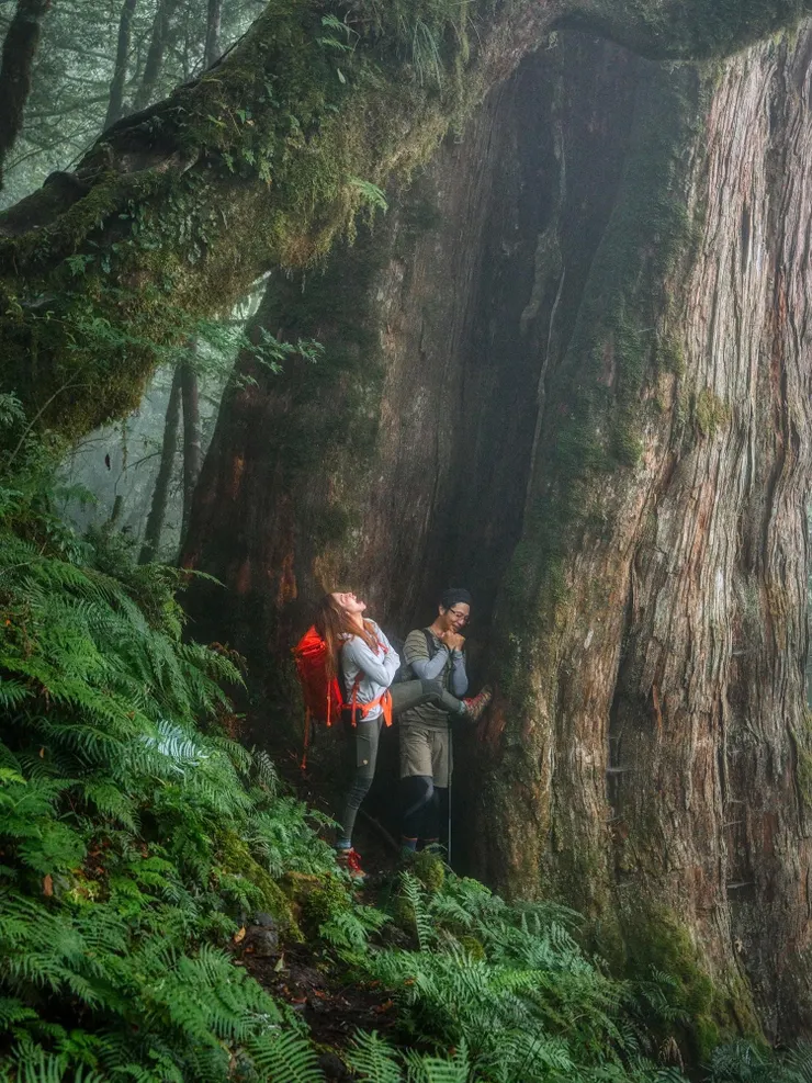 此路是我開！此樹是我栽！！想要由此去！！留下買路財！！哇哈哈哈哈～～～