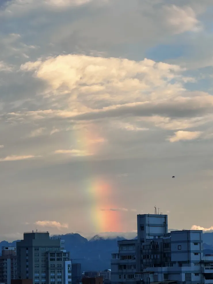 photo by chochoko ｜ Taichung, Taiwan