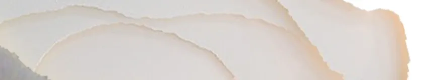 Hsin老師｜和解療癒的沙龍