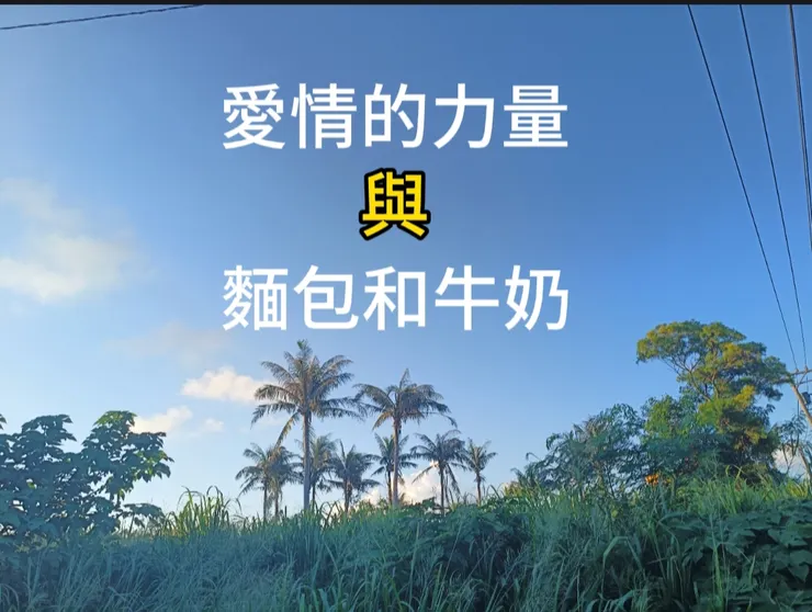 愛情的力量和麵包牛奶的重要