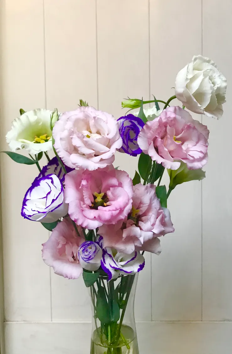 插入花瓶照一張