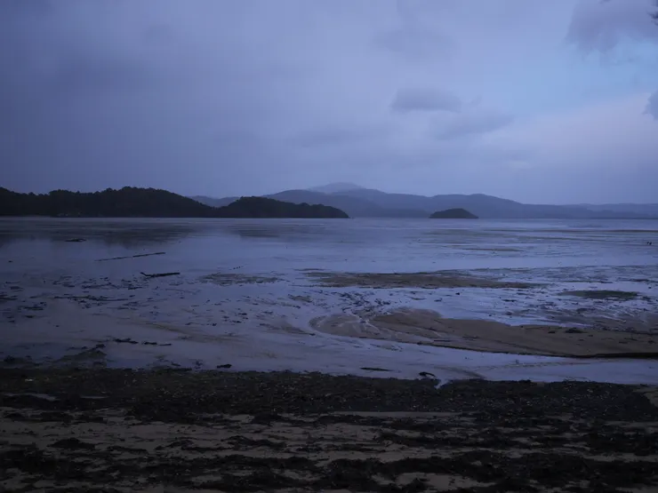 黎明前的沙洲，有種蒼涼之美。