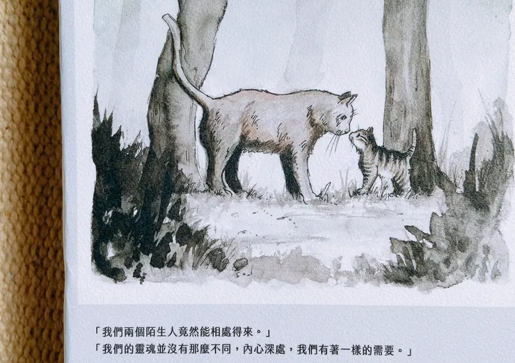 我們的靈魂並沒有那麼不同,內心深處,我們有著一樣的需要