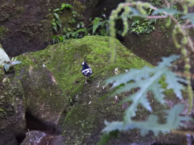 小剪尾|小蝦男友拍攝