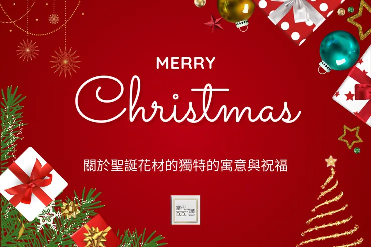 關於聖誕花材的獨特的寓意與祝福