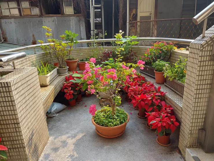 上樓前往會場途中，望見了一處天台的花園，觸動人心。