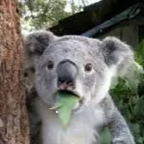 我睇咗啲咩的沙龍