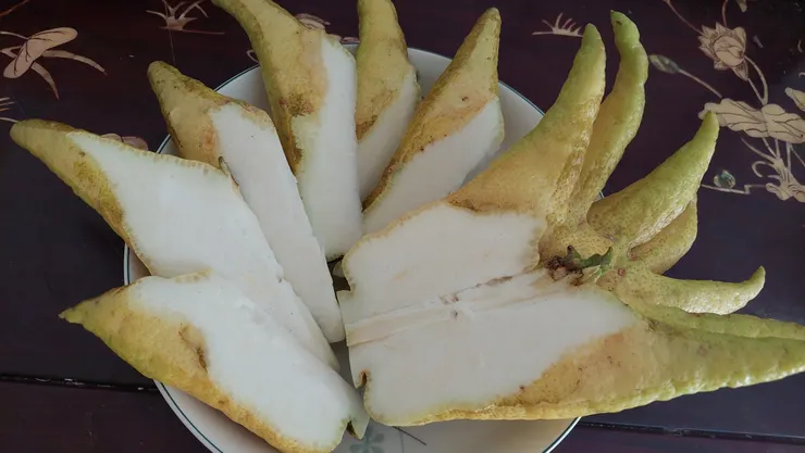 佛手柑切開來白茫茫的樣子，沒有果肉也沒有種子。