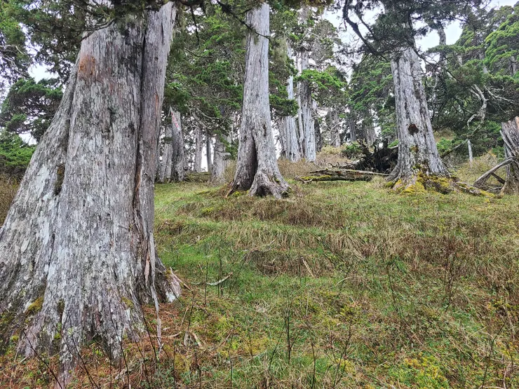 一路上坡，走在谷線上