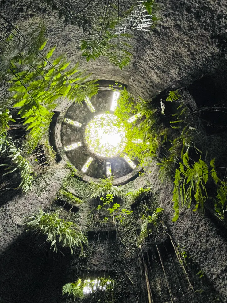 Justine拍攝/牧野植物園/日本