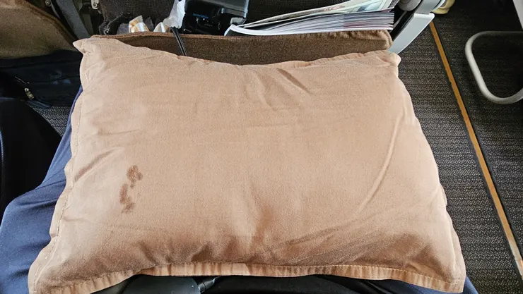 星宇航空經濟艙的金色小抱枕!