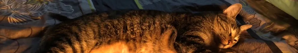 儒曉的分享空間