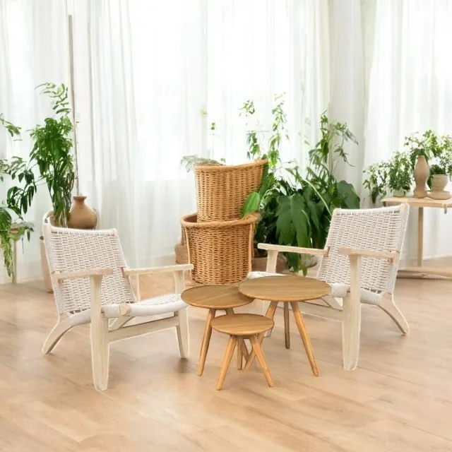 北歐風單人椅 / 木質茶几