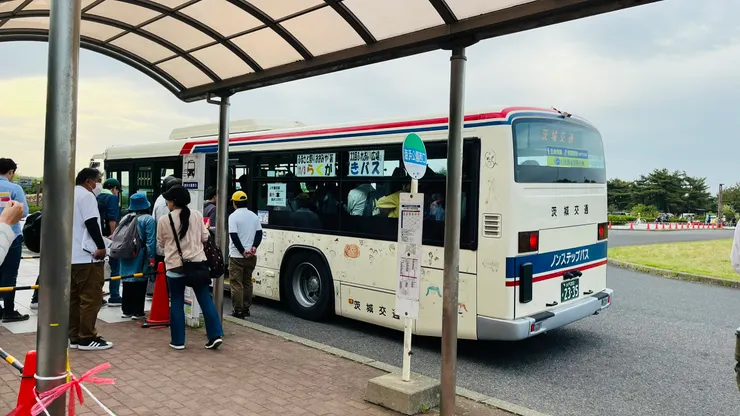 花季期間同樣會機動調整。