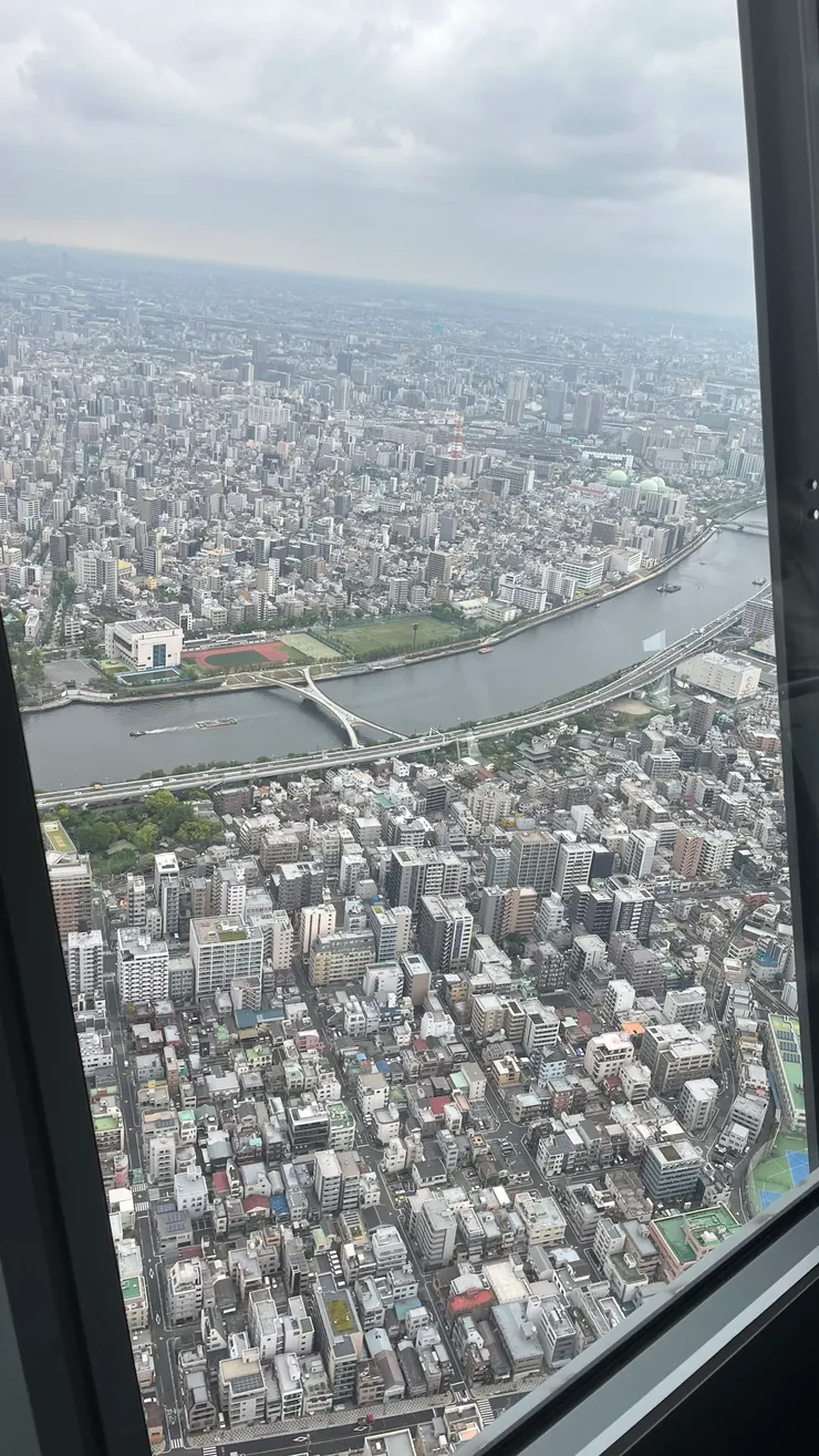它是一座純人行橋。