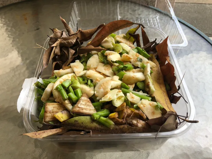 廚餘舖平在落葉上