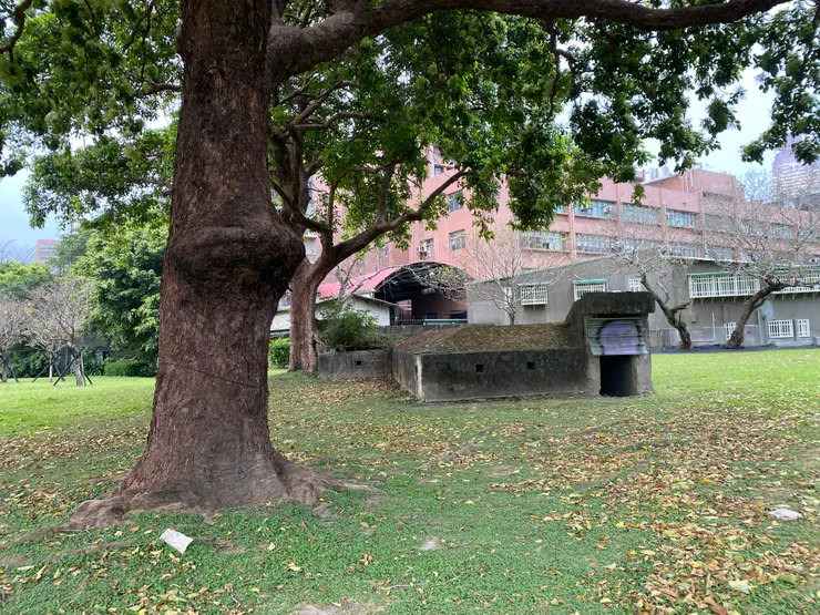 大樹、草地、防空洞