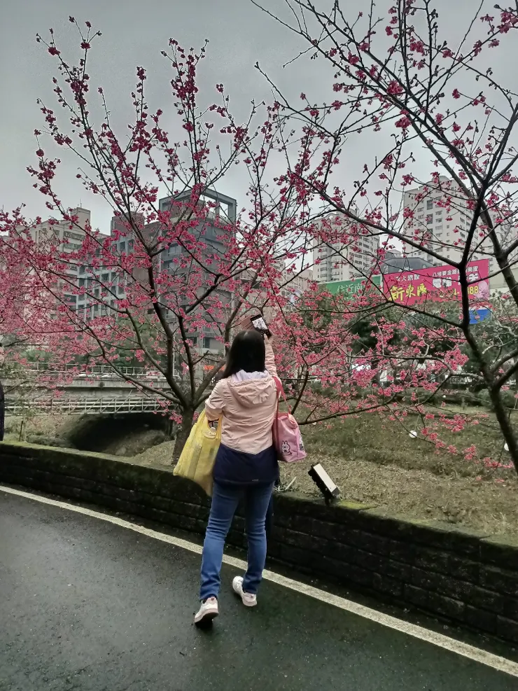 很認真在拍的芳同學