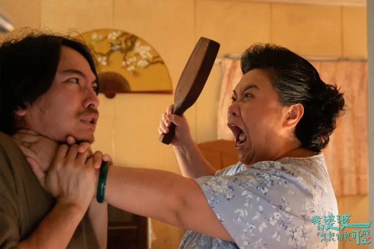 ⟨我的婆婆怎麼那麼可愛⟩官方臉書