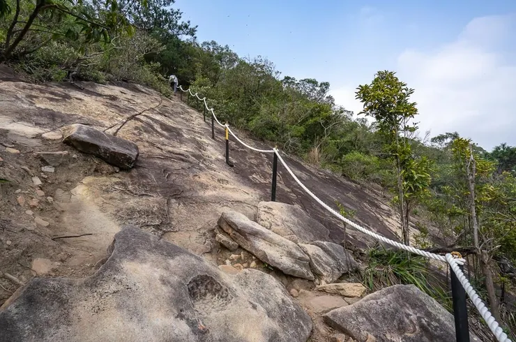 台北.內湖.金面山.金面山親山步道.登山步道