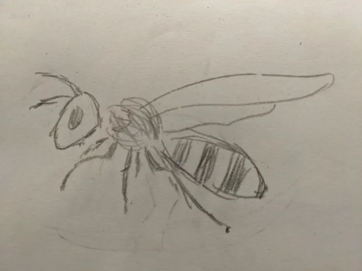 給孩子畫的蜜蜂(其實應該是虎頭蜂)