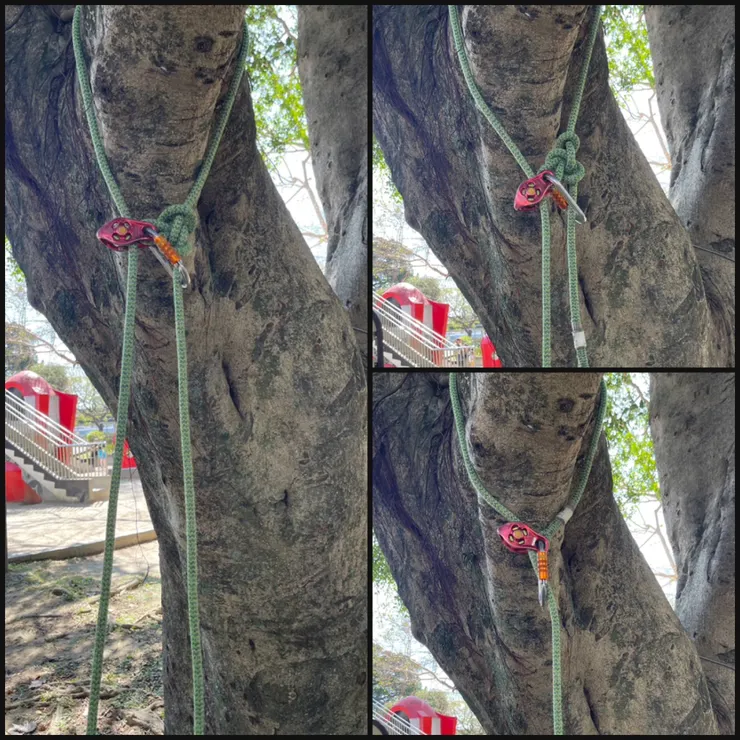 頂部固定點-DMM 單孔滑輪