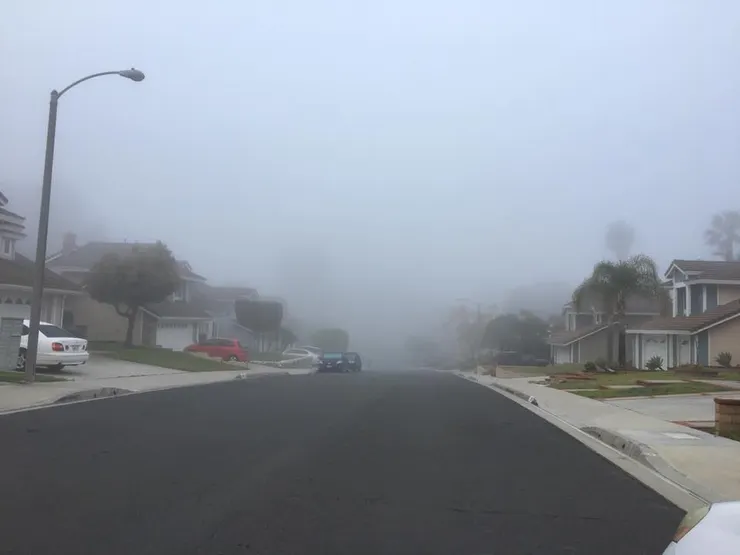 一早起床霧濛濛