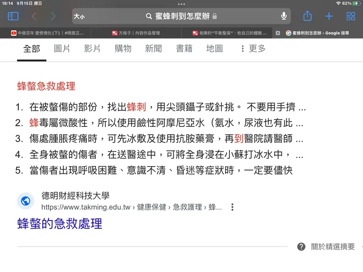 圖四：網路查詢的結果