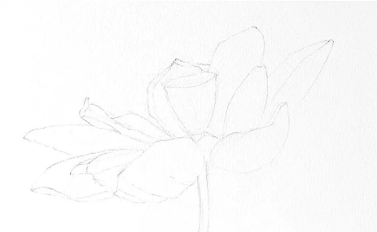 YH.CC@水彩練習W71線稿