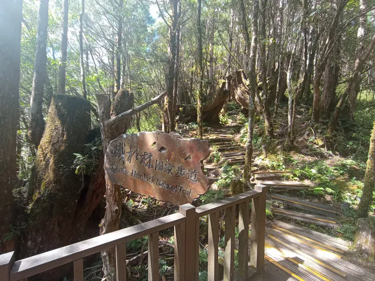 鐵杉林自然步道起點標示牌。鐵杉林自然步道起點-鐵杉林步道景觀台，一路爬坡1.3公里，需斟酌個人體力而為