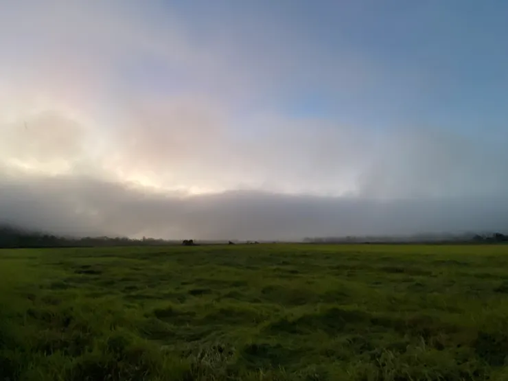 低垂的雲霧籠罩