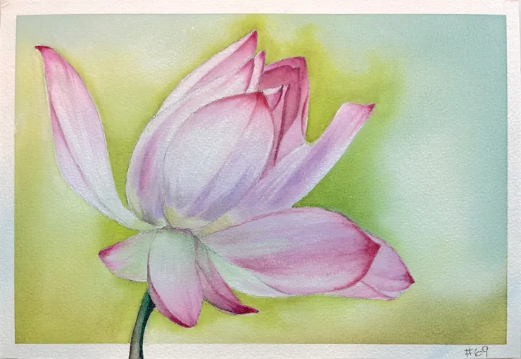 水彩練習W69夏荷, 26x18cm, AUG2024