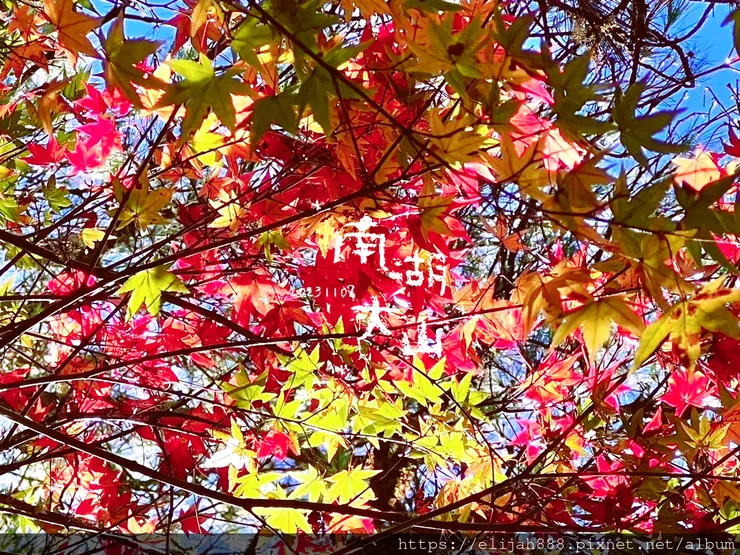 【帝王之山4天3夜】南湖大山之多加屯山/方便屋洗漱/最終日/