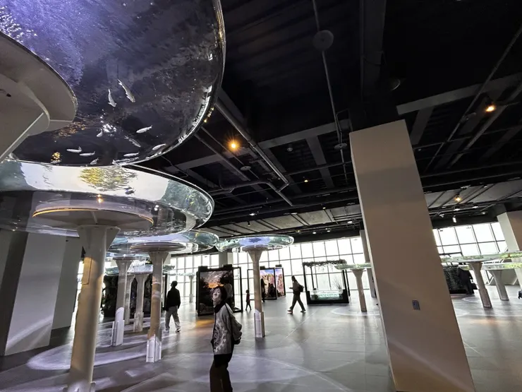 模擬大甲溪上到下游的生態